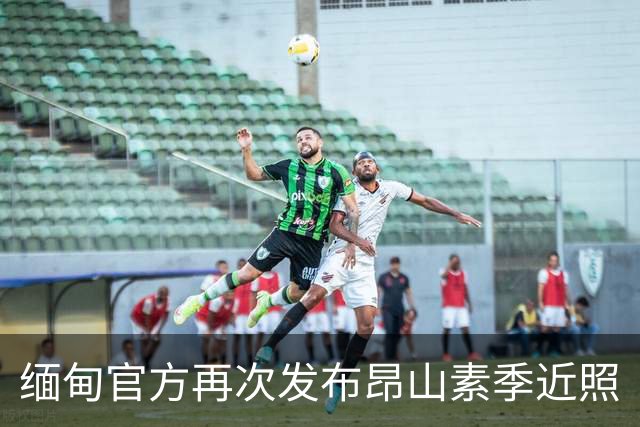 缅甸官方再次发布昂山素季近照